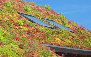 Hermitage Green living roof systems